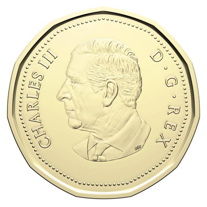 ger_pm_Lucky-Loonie-1-Dollar-messingplattierter-Stahl-2026-13698_3