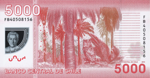Банкноты Чили Чили 5000 песо 2015 (полимер) фото из магазина евромонета.рф