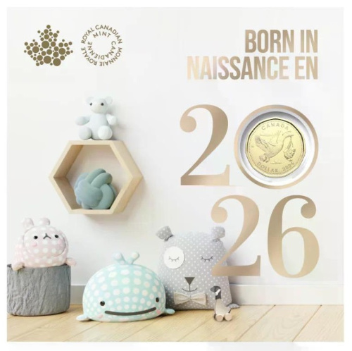 Наборы монет Канада набор 5 монет 5/10/25 центов 1 и 2 доллара 2026. Baby фото из магазина евромонета.рф