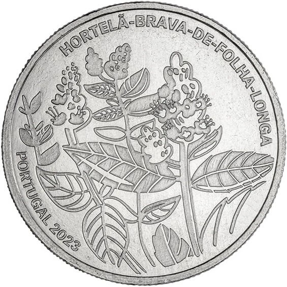Hortela_CU_A