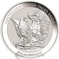 02-2025-Australian-Wedge-Tailed-Eagle-1oz-Silver-Bullion-Coin-straight-on-HighRes_h8ovcb