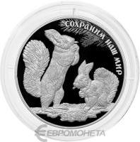 25 рублей Россия 25 рублей 2023 Белка обыкновенная фото из магазина евромонета.рф
