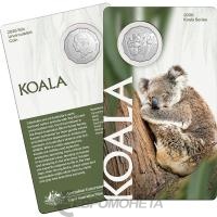 2026-50c-koala-series-uncirculated-coin-7088449