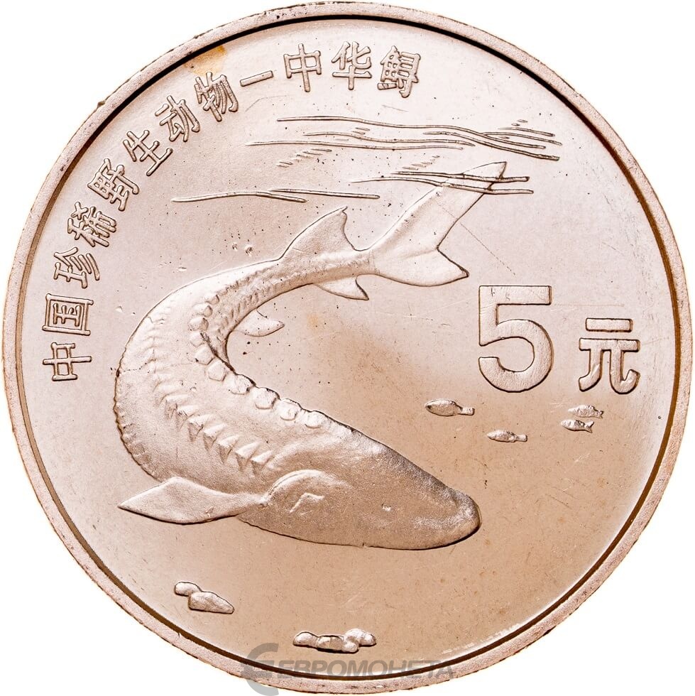 Китайские 5 рублей. 5 Юаней монета. 5 Юаней 1999. Китайский юань монета. Китайский юань Монетка.