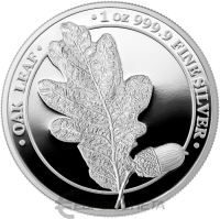 Germania Mint 2019 5 марок Мифический лес: Дубовый лист proof  фото из магазина евромонета.рф