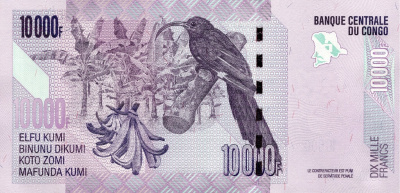 Конго ДР 10000 франков 2022  фото из магазина евромонета.рф 1