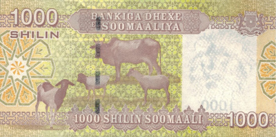 Сомали 1000 шиллингов 2010  фото из магазина евромонета.рф 1