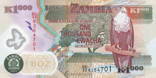Банкноты Замбии Замбия 1000 квача 2011 (полимер) фото из магазина евромонета.рф