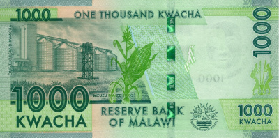 Малави 1000 квача 2024  фото из магазина евромонета.рф 1