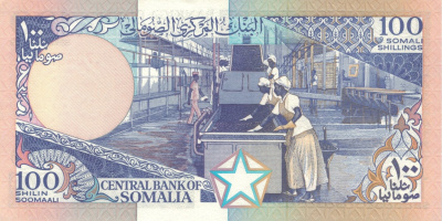 Сомали 100 шиллингов 1989  фото из магазина евромонета.рф 1