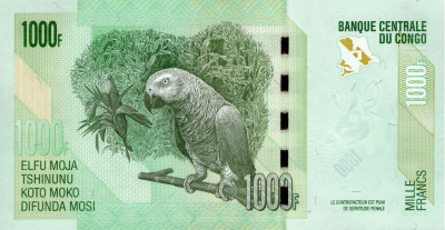 Конго ДР 1000 франков 2022  фото из магазина евромонета.рф 1