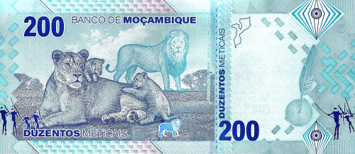 Банкноты Мозамбик Мозамбик 200 метикал 2024 фото из магазина евромонета.рф