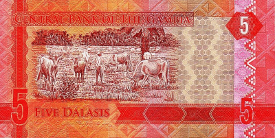 Гамбия 5 даласи 2015  фото из магазина евромонета.рф 1