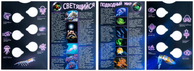 Капсульные альбомы  Капсульный альбом для монет 3 евро "Светящиеся морские животные" фото из магазина евромонета.рф 2