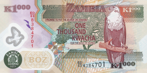 Банкноты Замбии Замбия 1000 квача 2011 (полимер) фото из магазина евромонета.рф