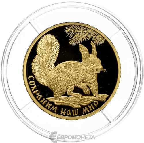 Юбилейная монета Россия 2023 100 рублей Белка обыкновенная 