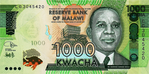 Банкноты Малави Малави 1000 квача 2020 фото из магазина евромонета.рф