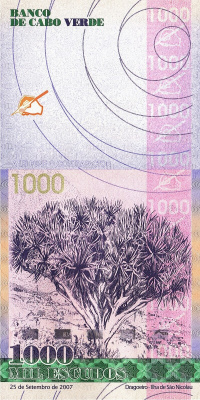 Кабо-Верде 1000 эскудо 2007  фото из магазина евромонета.рф 1